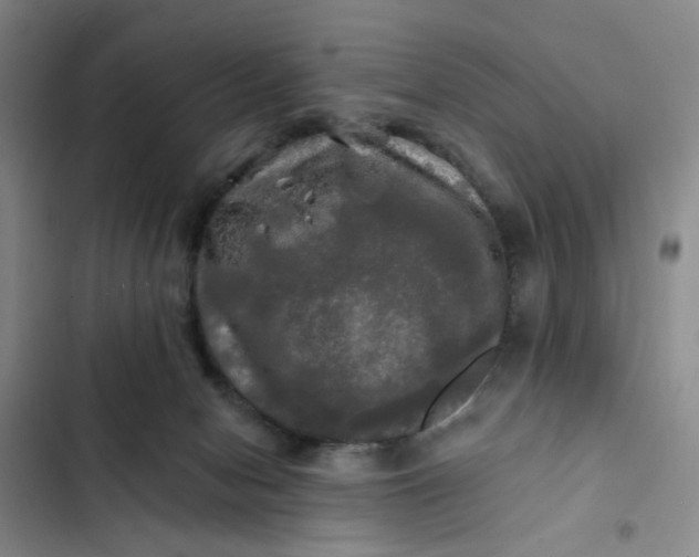 X0000102490078200808221740