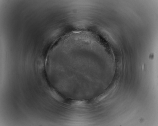 X0000102490081200808221740