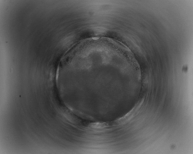 X0000102490082200808221740