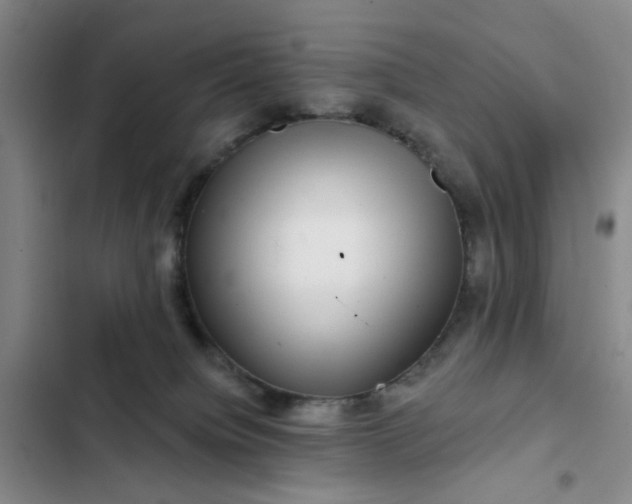 X0000102490084200808221740