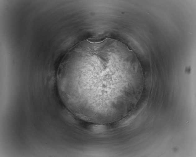 X0000102490085200808221740