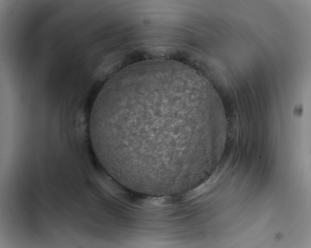 X0000102490086200808221740