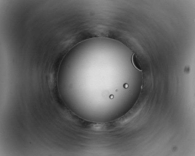 X0000102490088200808221740