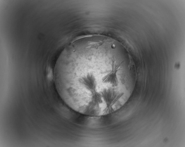 X0000102490089200808221740