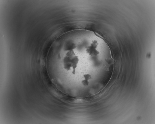 X0000102490091200808221740