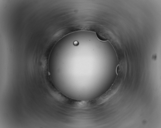 X0000102490092200808221740