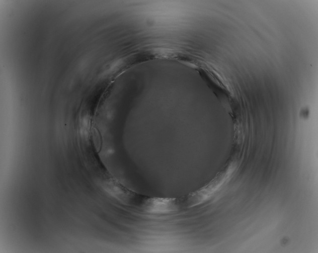 X0000102490093200808221740