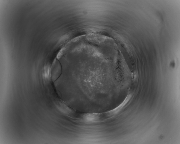 X0000102490094200808221740