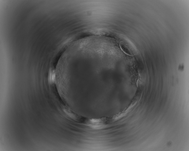 X0000102490095200808221740