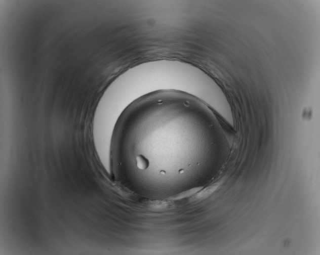 X0000102490096200808221740