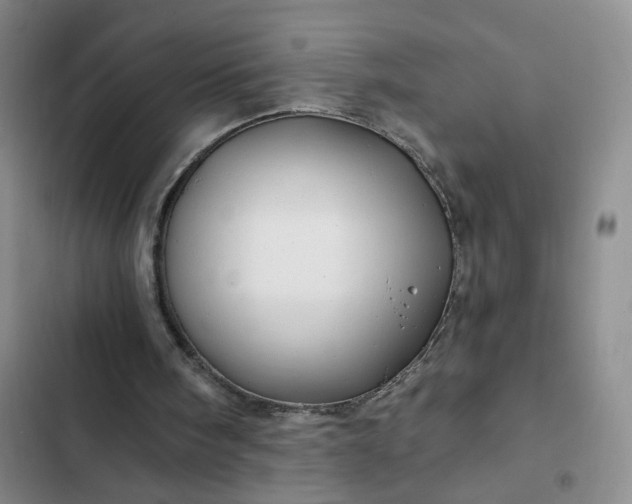 X0000102490098200808221740