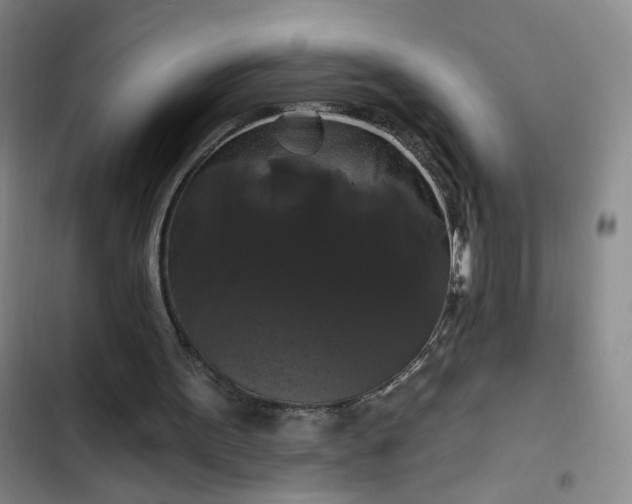 X0000102490099200808221740