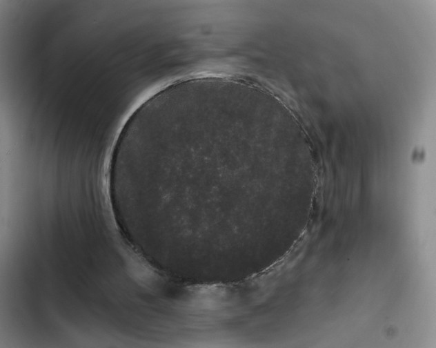 X0000102490100200808221740