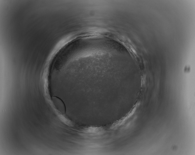 X0000102490101200808221740