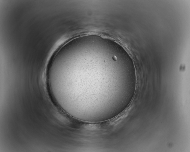 X0000102490102200808221740