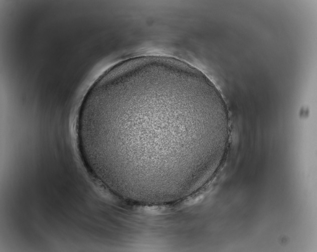 X0000102490103200808221740