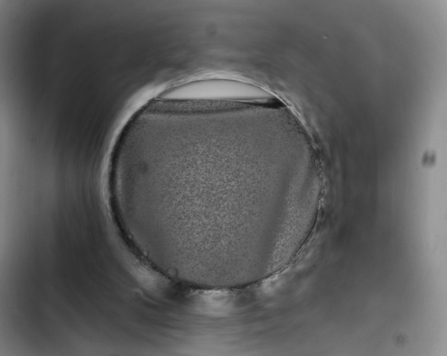 X0000102490104200808221740