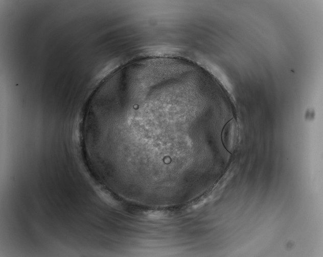 X0000102490105200808221740