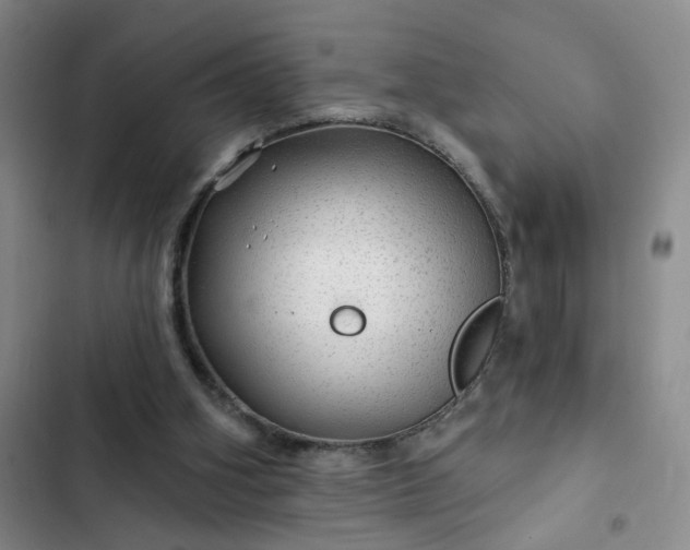 X0000102490106200808221740