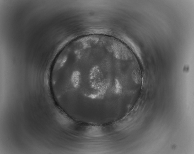 X0000102490107200808221740