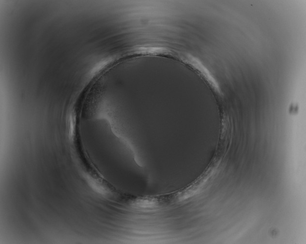 X0000102490110200808221740