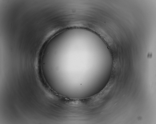 X0000102490112200808221739