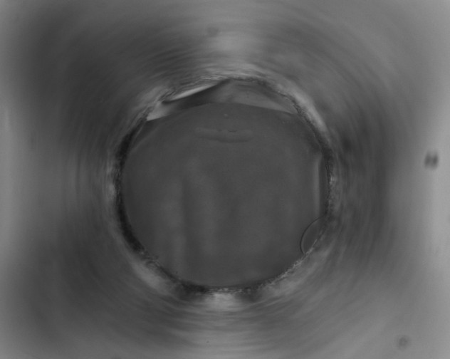 X0000102490114200808221739