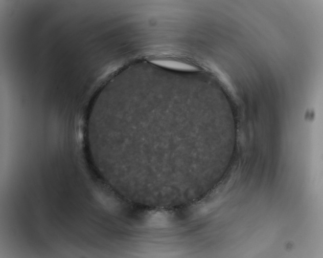 X0000102490115200808221739