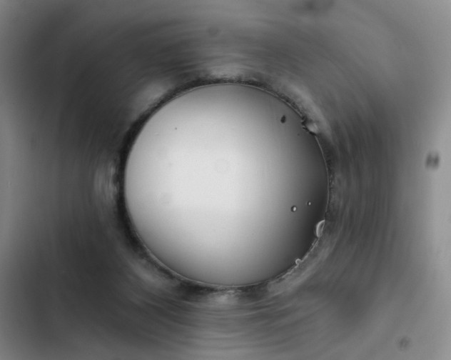 X0000102490116200808221739