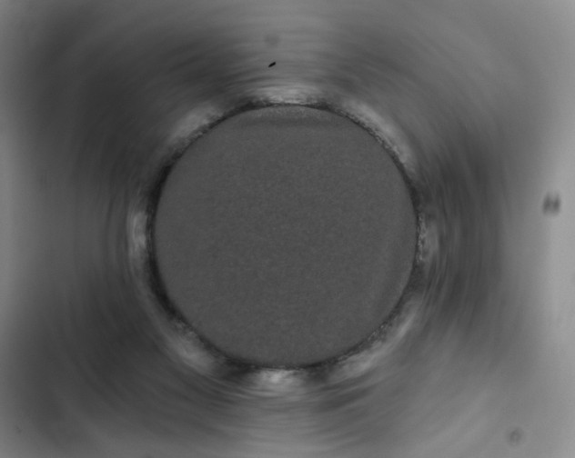 X0000102490117200808221739