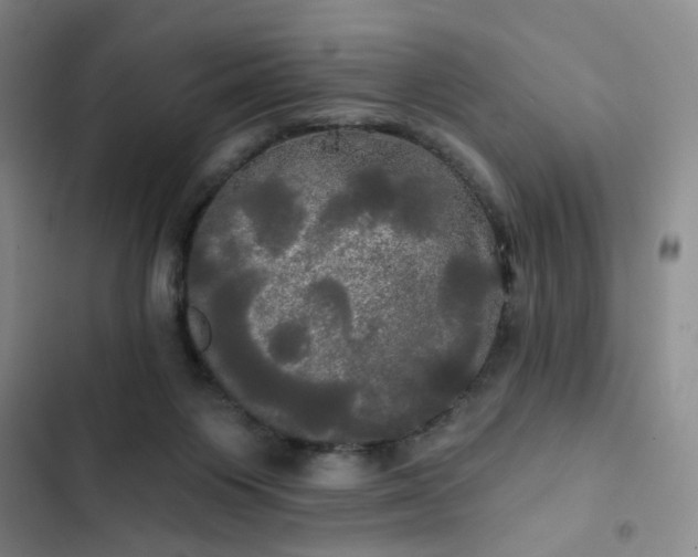 X0000102490119200808221739