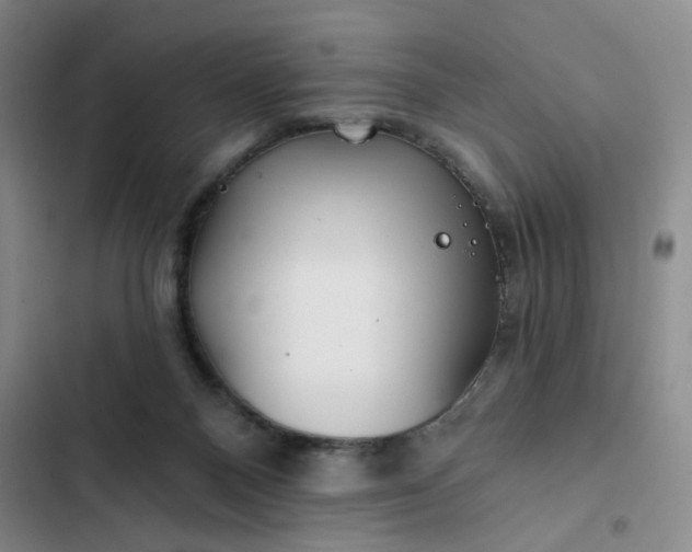 X0000102490120200808221739