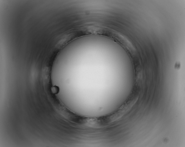 X0000102490121200808221739