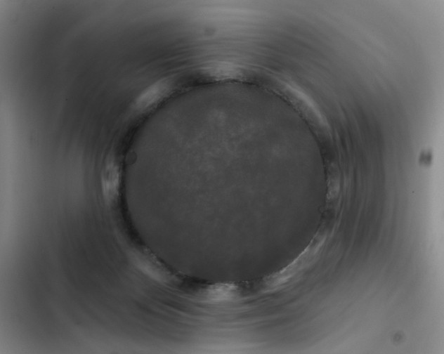 X0000102490124200808221739