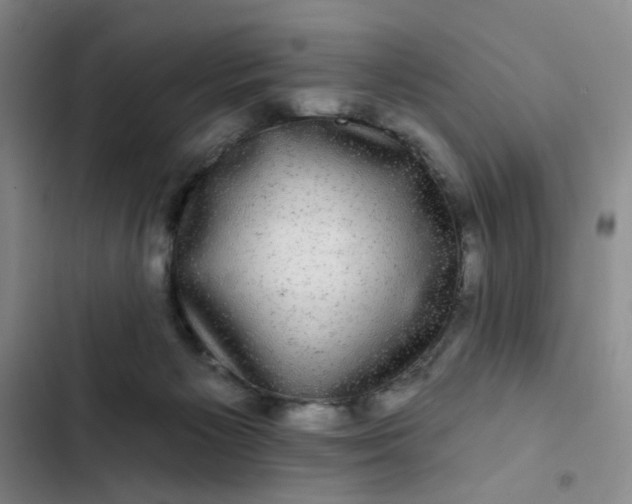 X0000102490125200808221739