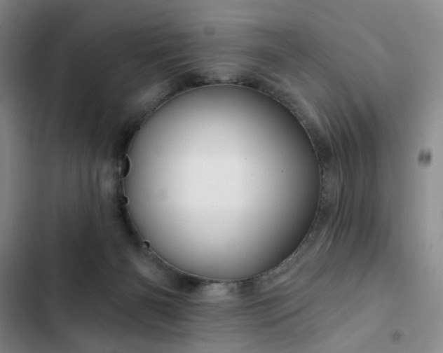 X0000102490126200808221739