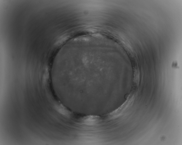 X0000102490128200808221739