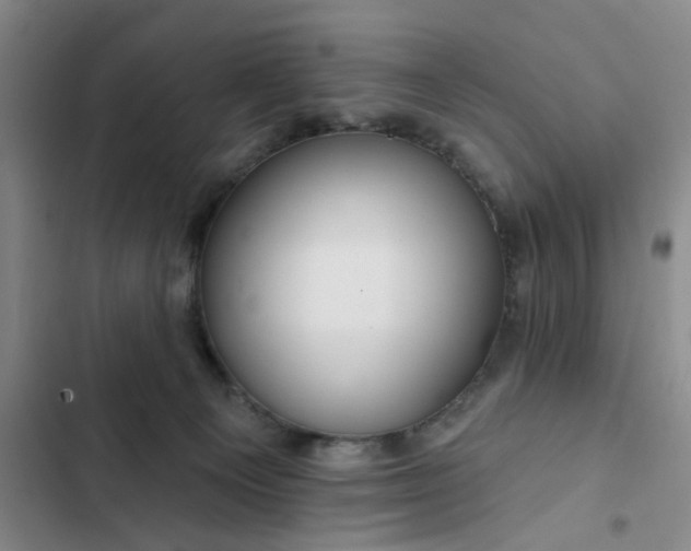 X0000102490129200808221739