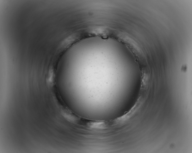 X0000102490132200808221739