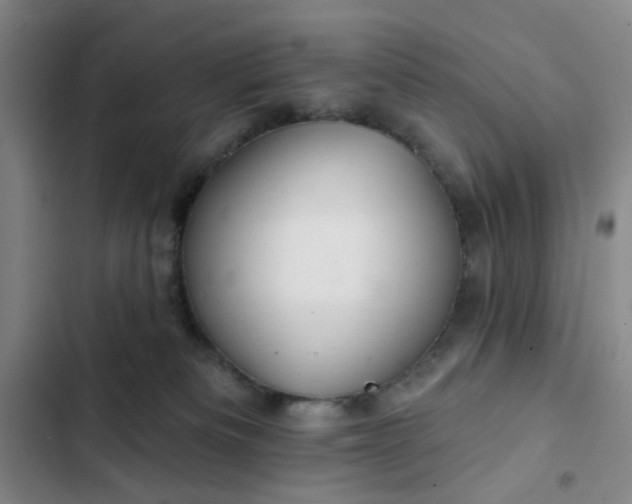 X0000102490133200808221739