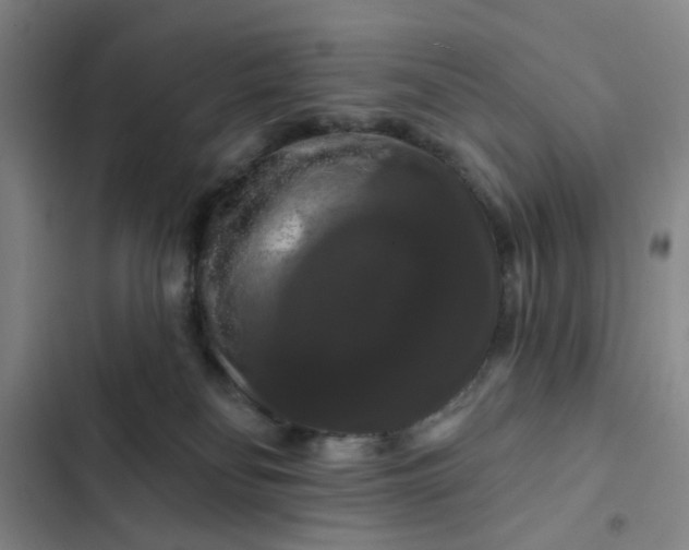 X0000102490134200808221739