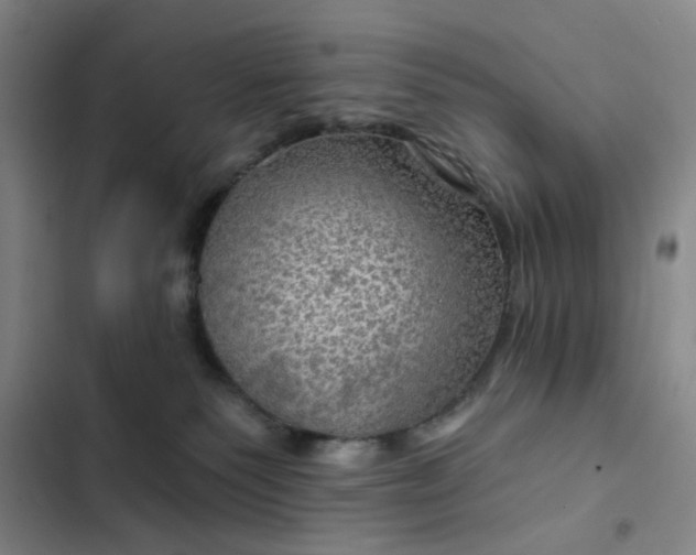 X0000102490135200808221739