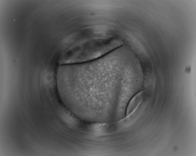 X0000102490136200808221739