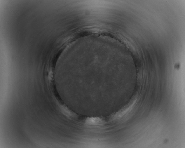 X0000102490137200808221739