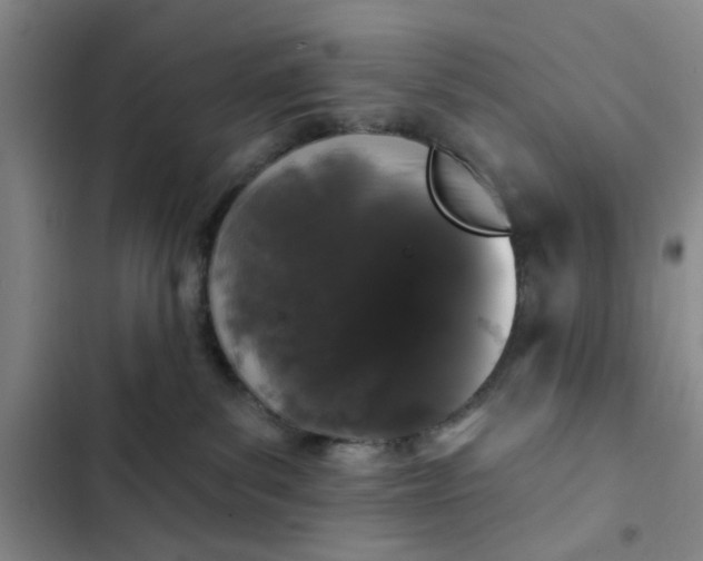 X0000102490139200808221739