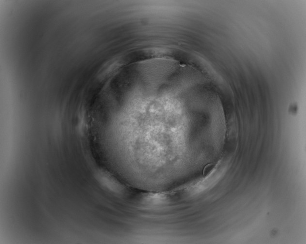 X0000102490140200808221739