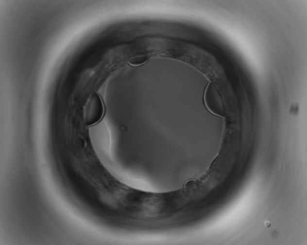 X0000102490143200808221739