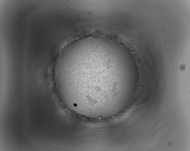 X0000102490144200808221739