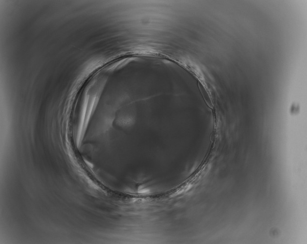 X0000102490145200808221738