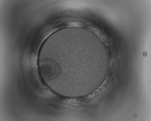 X0000102490146200808221738